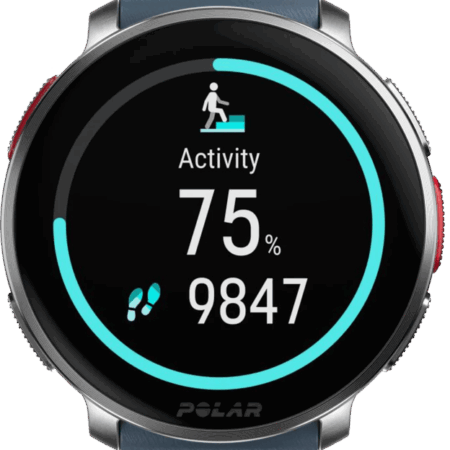 Polar Vantage V3 Zilver/Blauw