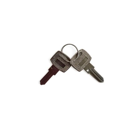 Practo Garden B399 losse blanco sleutels small (2 stuks) voor Practo Garden brievenbussen | Practo Garden