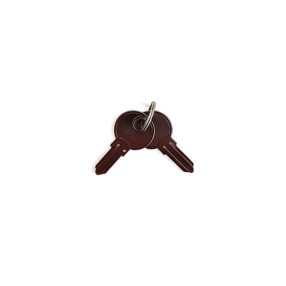 Practo Garden B599 losse blanco sleutels medium (2 stuks) voor Practo Garden brievenbussen | Practo Garden