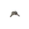 Practo Garden B798 losse blanco sleutels (2 stuks) voor Practo Garden B703-B712 brievenbussen | Practo Garden