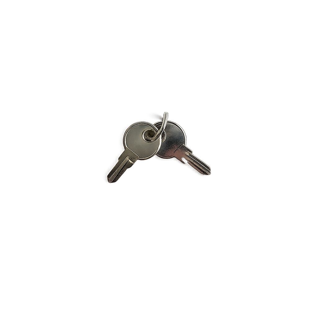 Practo Garden B798 losse blanco sleutels (2 stuks) voor Practo Garden B703-B712 brievenbussen | Practo Garden