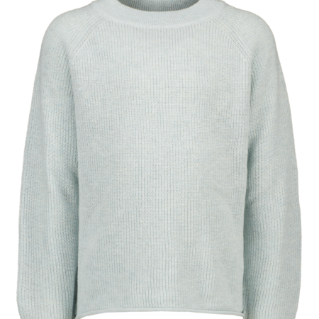 Pulli - Blauw | Zeeman