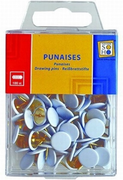 Punaises Wit 100 Stuks | Soho