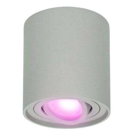 Ray smart Opbouwspot - Plafondspot - Kantelbaar - Rond GU10 - RGBWW - Wifi + Bluetooth - Google Home