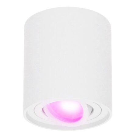 Ray smart Opbouwspot - Plafondspot - Kantelbaar - Rond GU10 - RGBWW - Wifi + Bluetooth - Google Home