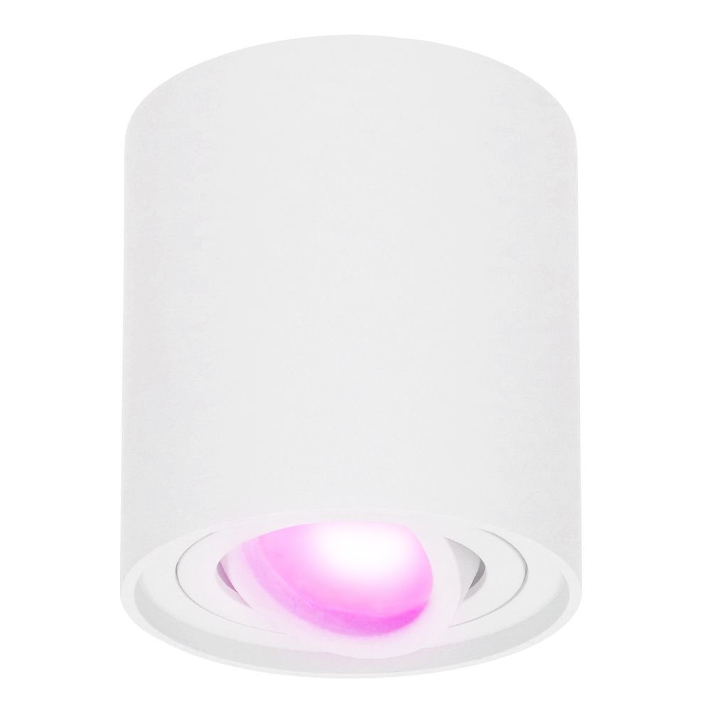 Ray smart Opbouwspot - Plafondspot - Kantelbaar - Rond GU10 - RGBWW - Wifi + Bluetooth - Google Home