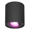 Ray smart Opbouwspot - Plafondspot - Kantelbaar - Rond GU10 - RGBWW - Wifi + Bluetooth - Google Home