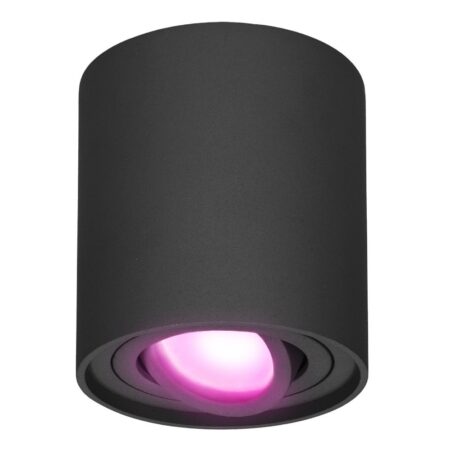 Ray smart Opbouwspot - Plafondspot - Kantelbaar - Rond GU10 - RGBWW - Wifi + Bluetooth - Google Home