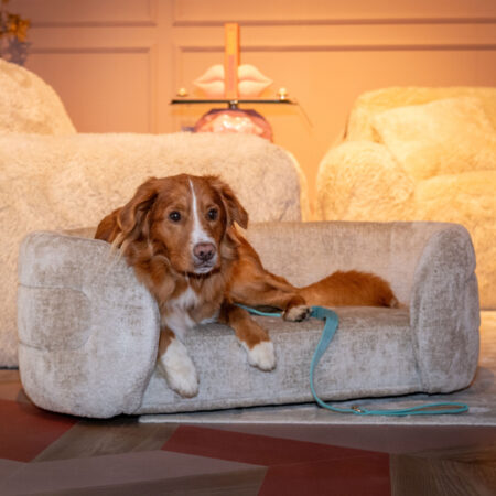 Richmond Huisdierenbed 'Bingo' Chenille