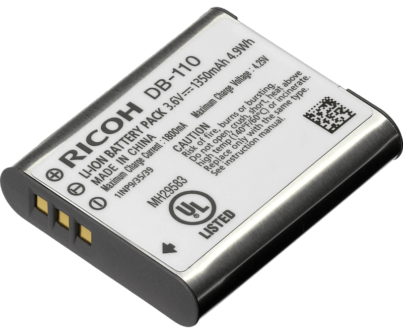 Ricoh DB-110