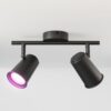 Riga - LED smart plafondlamp - 2 spots - 10 Watt 800 Lumen - Draaibaar en kantelbaar - GU10 - RGBWW - Wifi + Bluetooth - Google Home