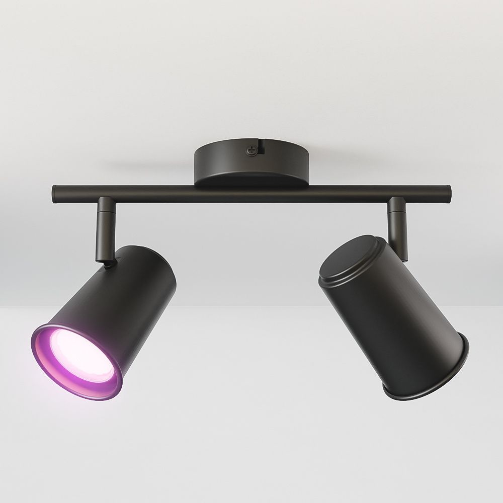 Riga - LED smart plafondlamp - 2 spots - 10 Watt 800 Lumen - Draaibaar en kantelbaar - GU10 - RGBWW - Wifi + Bluetooth - Google Home