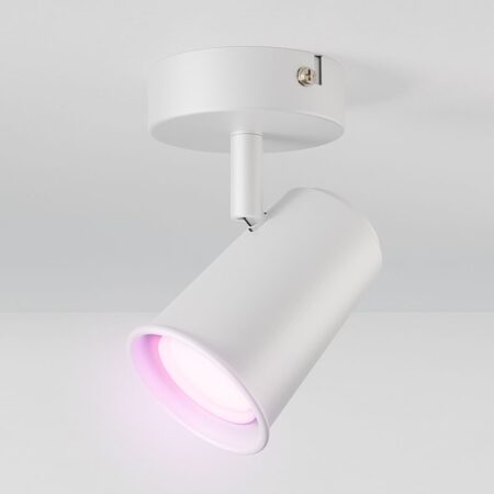 Riga - LED smart plafondlamp - 5 Watt 400 Lumen - Draaibaar en kantelbaar - GU10 - RGBWW - Wifi + Bluetooth - Google Home