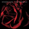 Rosanne Cash - Black Cadillac (LP) | Fiftiesstore