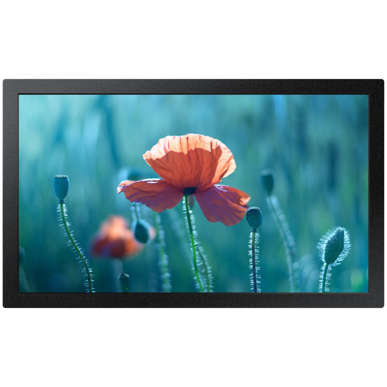 Samsung Stand Alone QB13C Serie 13.3i Edge LED Monitor Zwart | Samsung