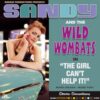 Sandy & The Wild Wombats - The Girl Can't He It (LP) | Fiftiesstore