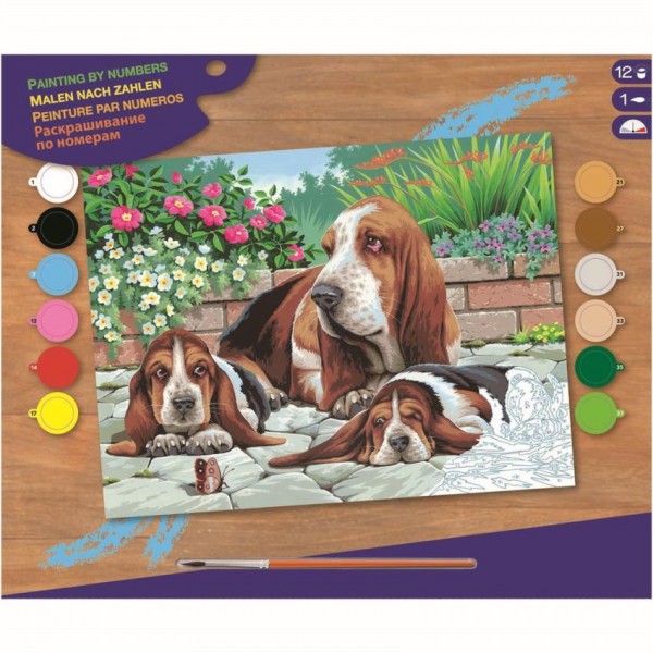 Schilderen op Nummer Basset Honden |