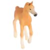 Schleich 13984 Arabisch Veulen | Schleich