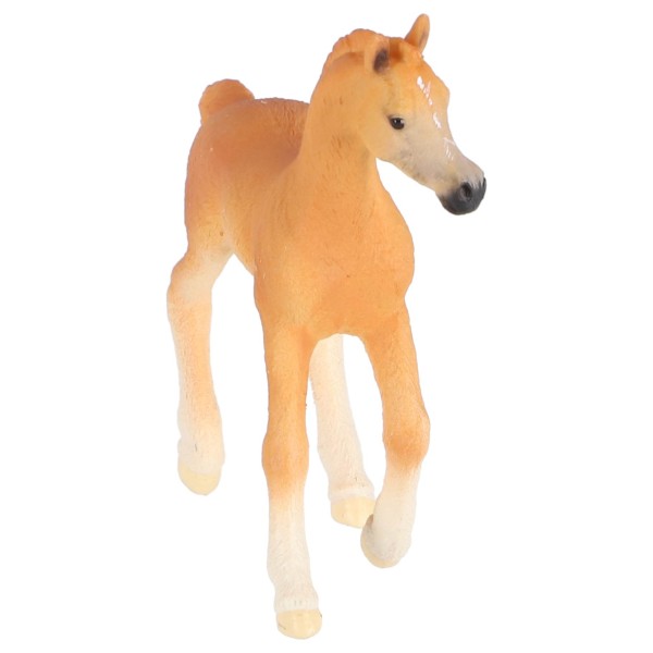 Schleich 13984 Arabisch Veulen | Schleich