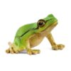 Schleich 14882 European Tree Frog | Schleich