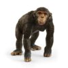 Schleich 14883 Chimpanzee | Schleich