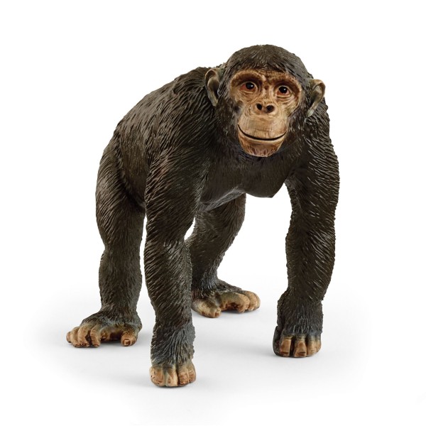 Schleich 14883 Chimpanzee | Schleich