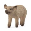 Schleich 14893 Mangalica Piglet | Schleich