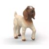 Schleich 14930 Boer Geit Jong | Schleich