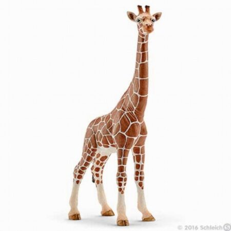 Schleich Giraf Wijfje | Schleich
