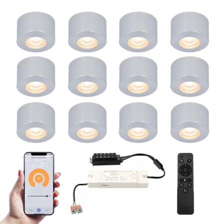 Set van 12 Navarra Smart LED Mini opbouwspots - Veranda spots - 12V 3W 200lm - Dimbaar - Wifi & Bluetooth - 2700K - IP44 waterdicht - RVS | HOFTRONIC