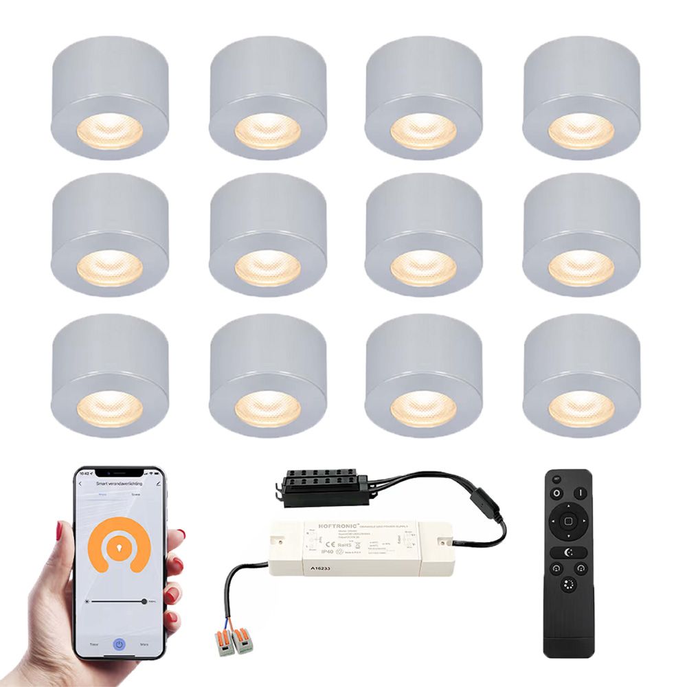 Set van 12 Navarra Smart LED Mini opbouwspots - Veranda spots - 12V 3W 200lm - Dimbaar - Wifi & Bluetooth - 2700K - IP44 waterdicht - RVS | HOFTRONIC