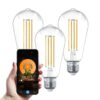 Set van 3 Smart E27 LED Filament Lamp - 7 Watt 806 lumen - ST64 Helder - 1800-3000K - Dimbaar - Edison lamp | HOFTRONIC