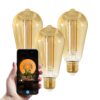 Set van 3 Smart E27 LED Filament Lampen - 7 Watt 806 lumen - ST64 Amberkleurig glas - 1800-3000K Dimbaar - Edison lamp | HOFTRONIC