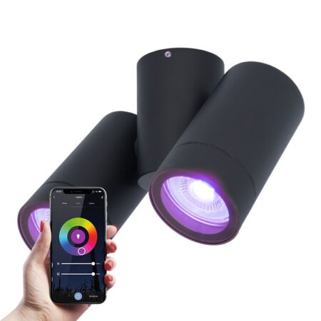 Silva Smart LED Plafondlamp - Kantelbaar - RGBWW - WiFi & Bluetooth - 2-Lichts - GU10 - IP65 - Zwart - Bestuurbaar via App - Google Home