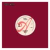 Single: Wolf Alice - Spotify Live Room (Record Store Day 2026) (LP) | Fiftiesstore