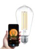 Smart E27 LED Filament Lamp - 7 Watt 806 lumen - ST64 Helder - 1800-3000K - Dimbaar - Edison lamp | HOFTRONIC SMART