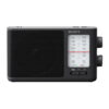 Sony ICF-506 FM radio Zwart | Sony