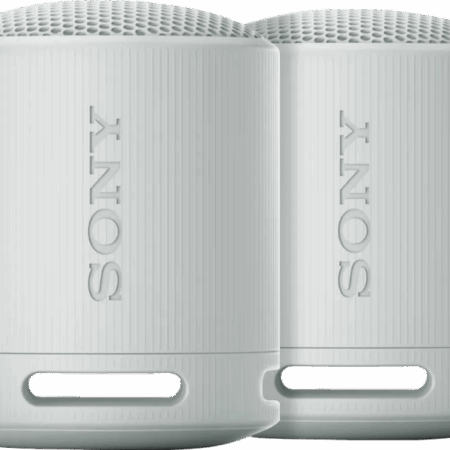 Sony SRS-XB100 Duo Pack Grijs