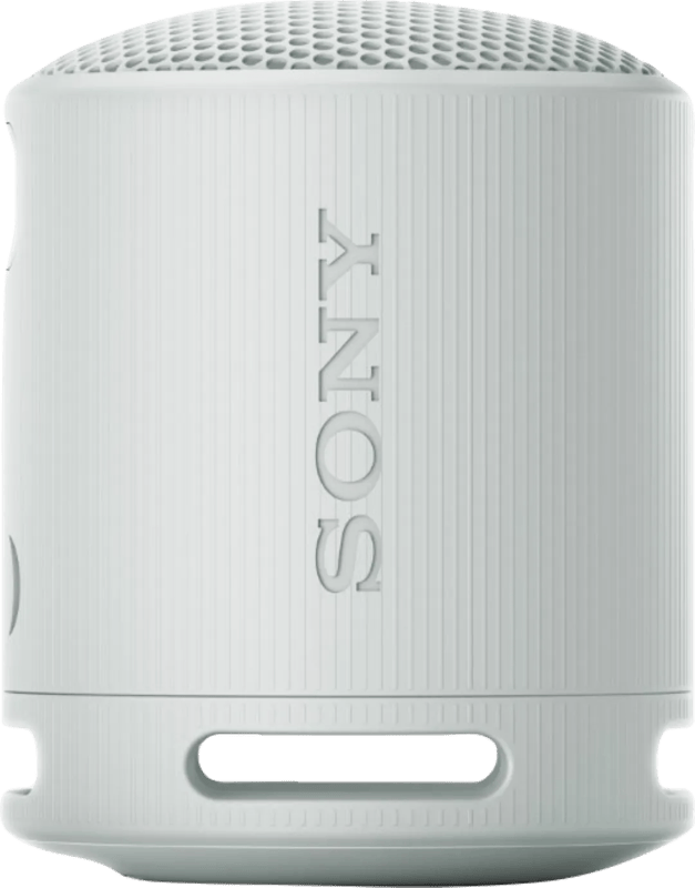 Sony SRS-XB100 Grijs