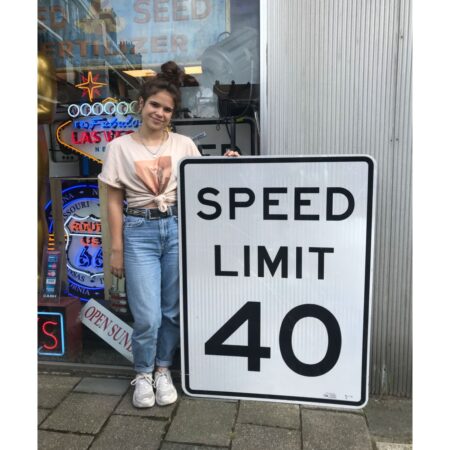 Speed Limit 40 Metalen Straatbord - Origineel - 122 x 92 cm | The Dutch Pickers