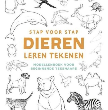 Stap voor stap dieren leren tekenen | Deltas