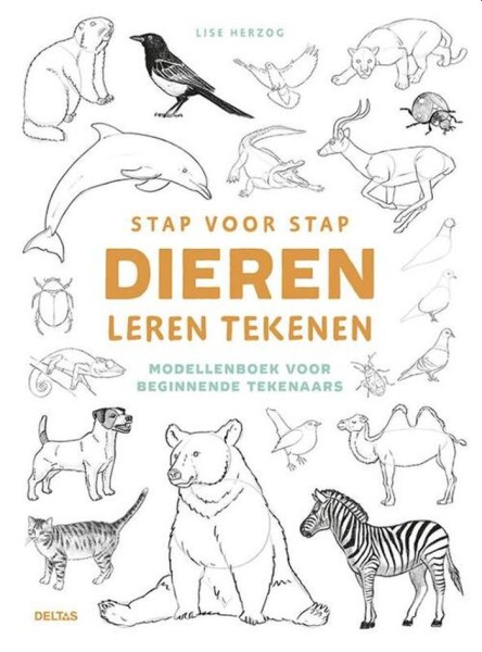 Stap voor stap dieren leren tekenen | Deltas