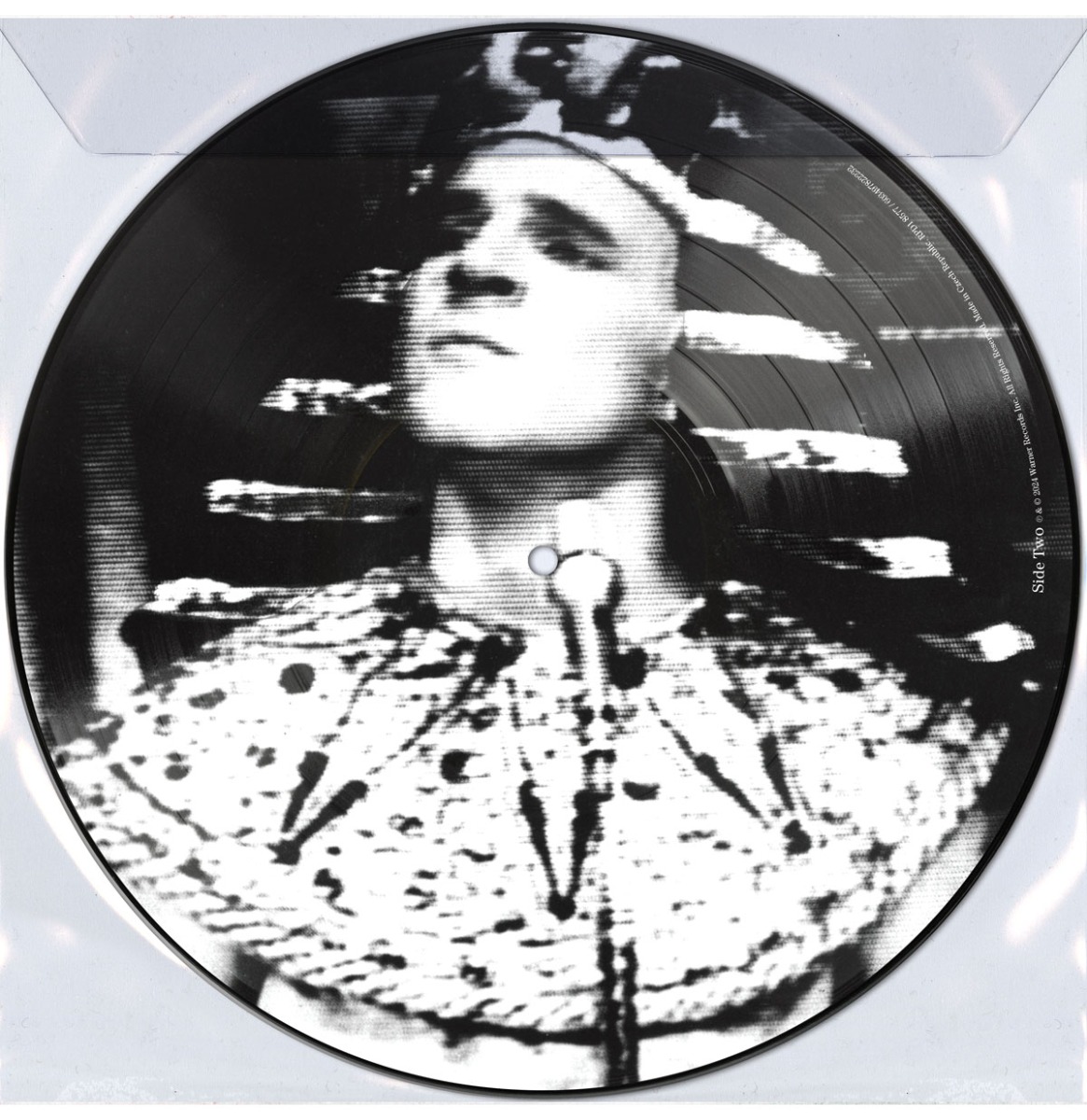Steve Martin And The Toot Uncommons - King Tut (Picture Disc) (Record Store Day Black Friday 2024) LAATSTE STUKS | 11% korting (LP) | Fiftiesstore