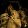 Stone Temple Pilots - Live at Rolling Rock 2001 (Gekleurd Vinyl) (Record Store Day 2026) 2 (LP) | Fiftiesstore