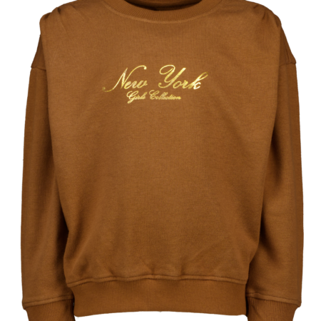 Sweater - Bruin | Zeeman