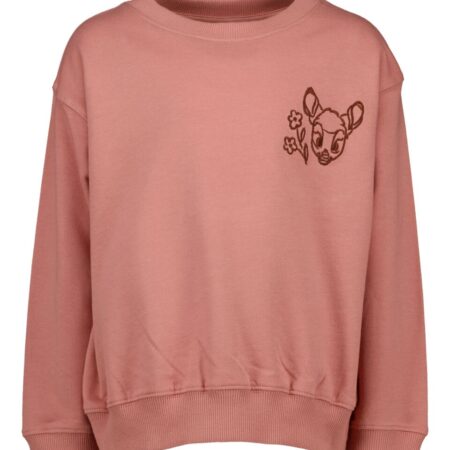 Sweater - Oranje | Disney
