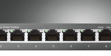 TP-Link TL-SG108E Duo-Pack