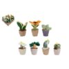 Take Me Home Plant Pluche 12-17 Cm |