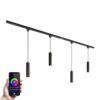 Taros Railverlichting Pakket - Recht - 2x 1 m rail - 4 hanglamp - Incl. RGBWW GU10 - IP20 - Modulair - 230V | HOFTRONIC