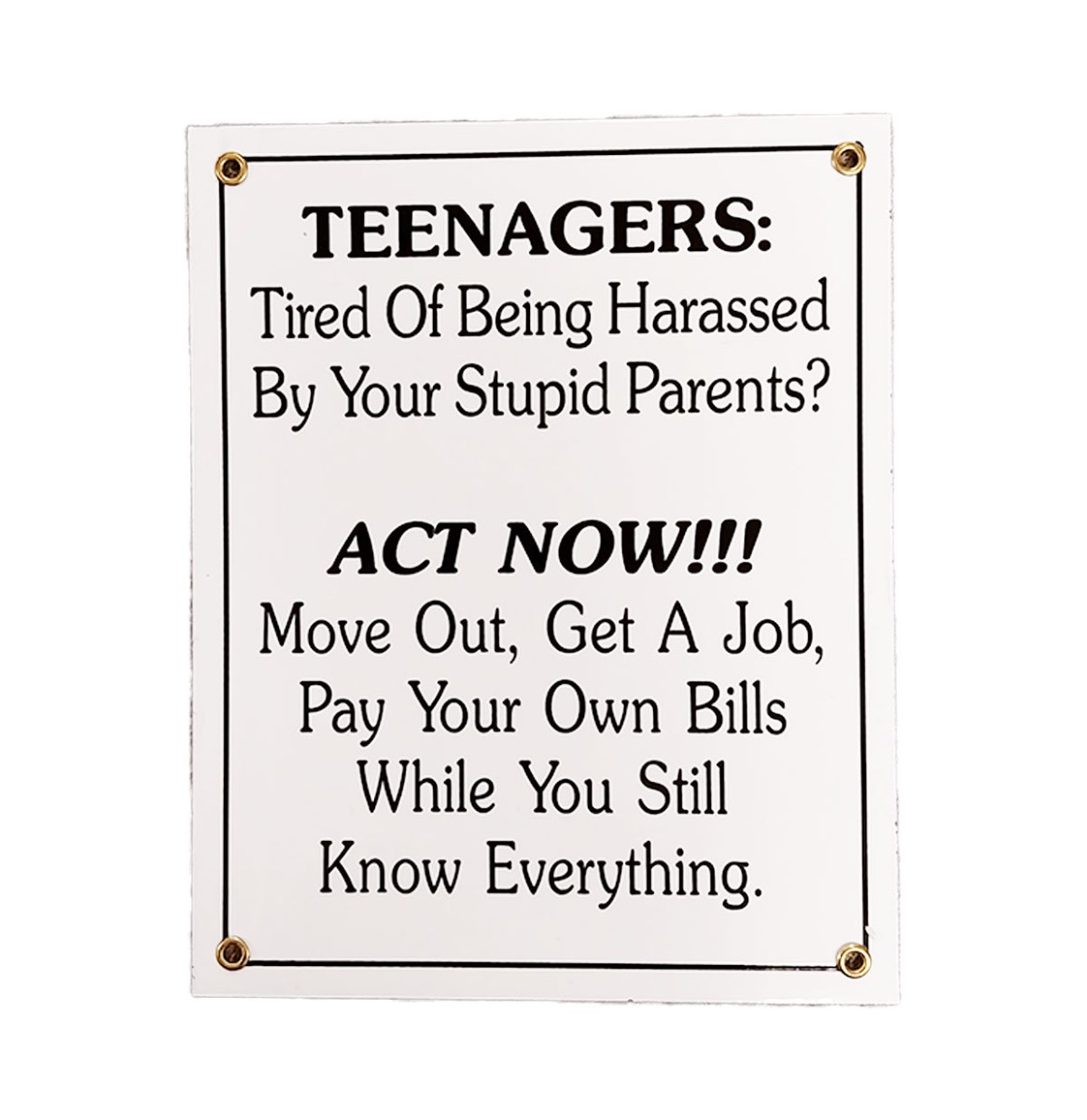 Teenagers Emaille Bord | Fiftiesstore